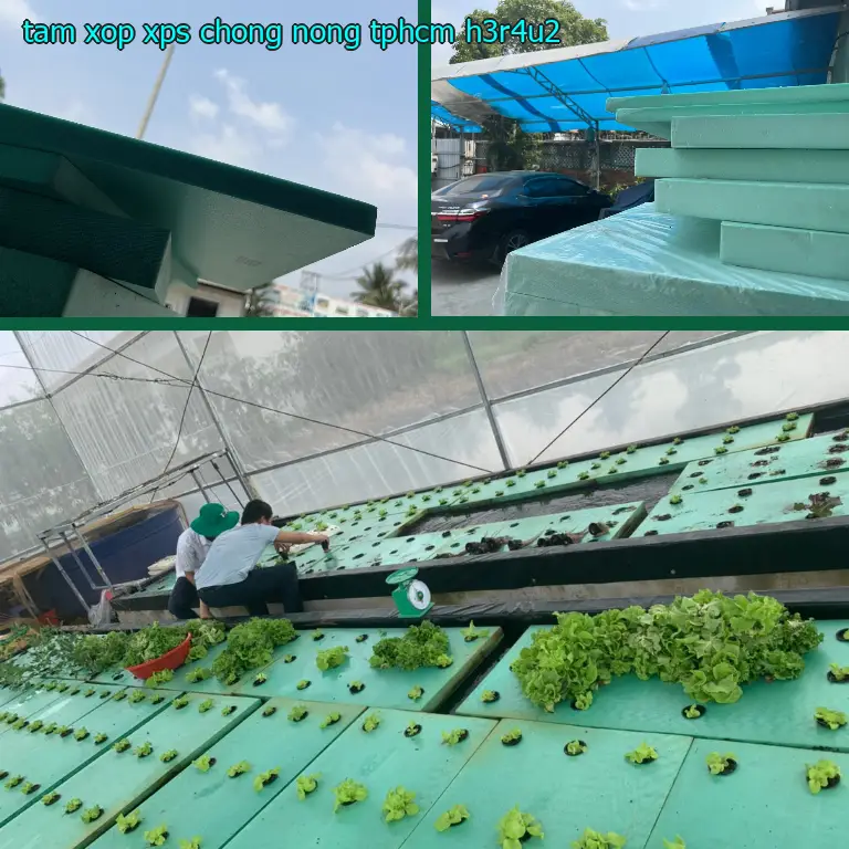 Tấm xốp XPS chống nóng TpHCM H3R4U2