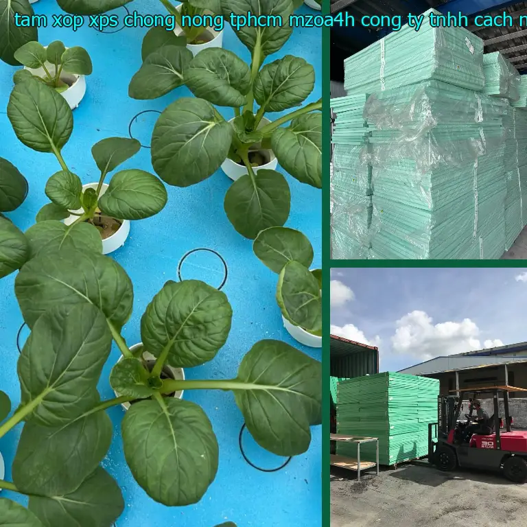 Nhà sản xuất tấm xốp XPS chống nóng TpHCM MZOA4H: Công ty TNHH cách nhiệt Thịnh Phát