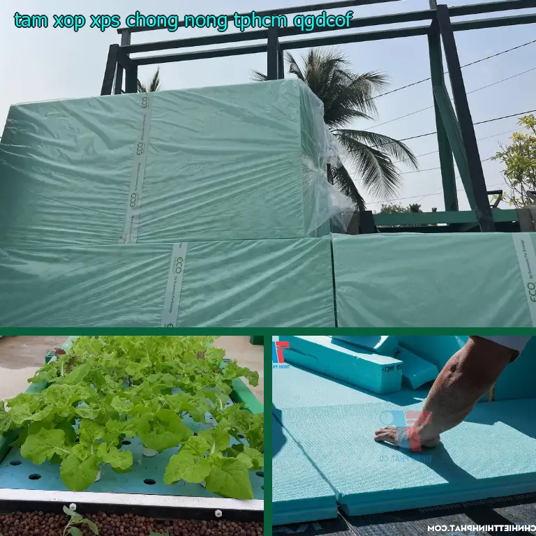 Tấm xốp XPS chống nóng TpHCM QGDCOF