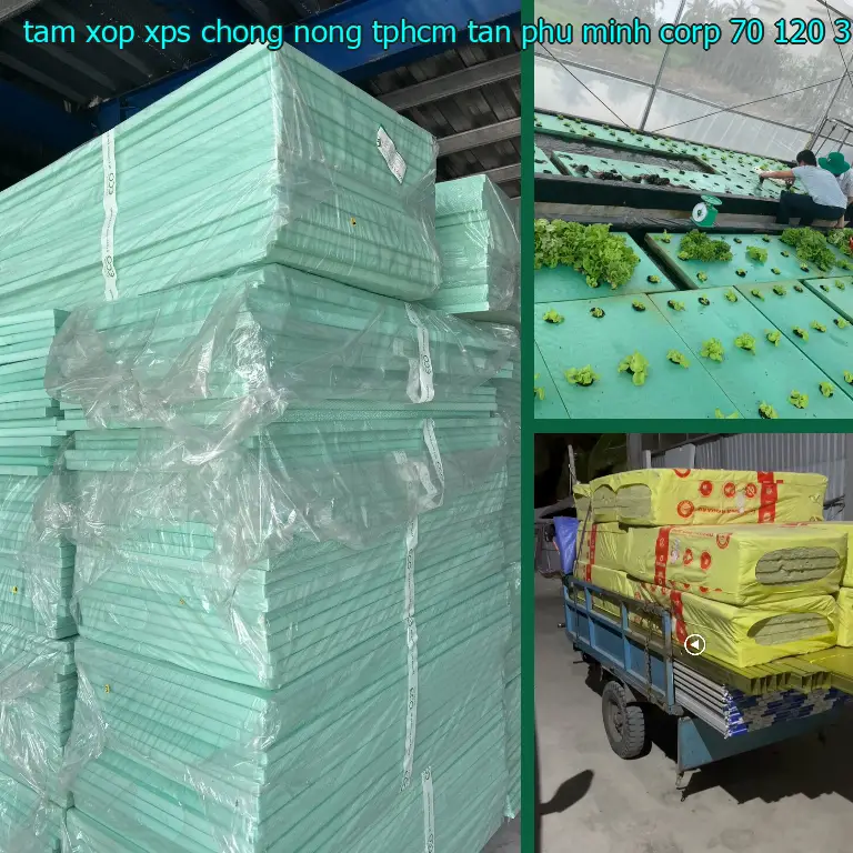 Kích thước tấm xốp XPS chống nóng TpHCM Tân Phú Minh Corp: 70*120*3.8 cm