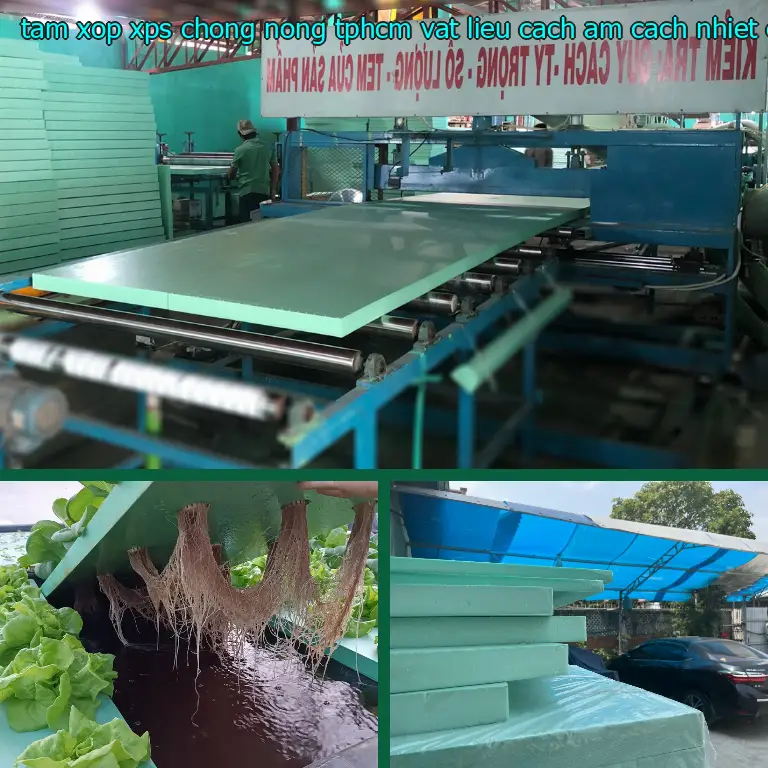 Nhà sản xuất tấm xốp XPS chống nóng TpHCM Vật liệu cách âm cách nhiệt Cát Tường: Vật liệu cách âm cách nhiệt Cát Tường Nhà sản xuất tấm xốp XPS chống nóng TpHCM Vật liệu cách âm cách nhiệt Cát Tường: Vật liệu cách âm cách nhiệt Cát Tường