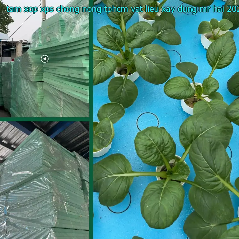 Ngày sản xuất tấm xốp XPS chống nóng TpHCM Vật Liệu Xây Dựng Mr.HẢI: 2025-03-26 Ngày sản xuất tấm xốp XPS chống nóng TpHCM Vật Liệu Xây Dựng Mr.HẢI: 2025-03-26