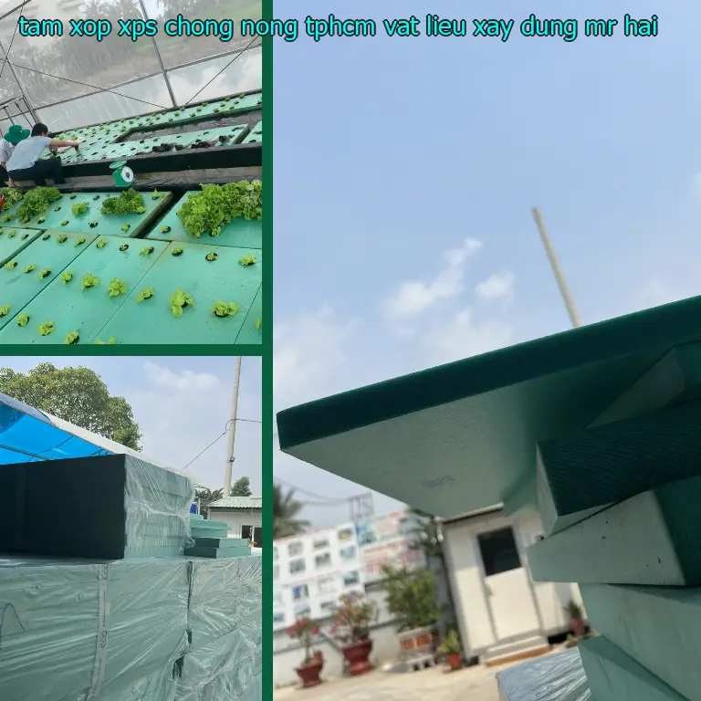 Tấm xốp XPS chống nóng TpHCM Vật Liệu Xây Dựng Mr.HẢI