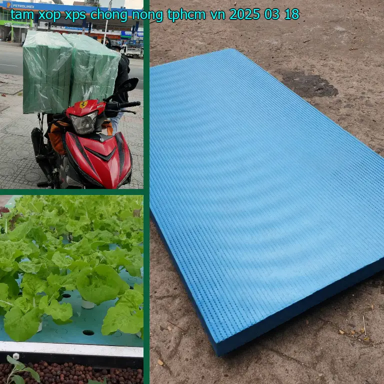 Ngày sản xuất tấm xốp XPS chống nóng TpHCM VN: 2025-03-18