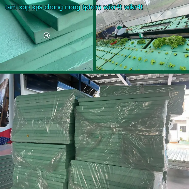 Model tấm xốp XPS chống nóng TpHCM WIKR4T: WIKR4T Model tấm xốp XPS chống nóng TpHCM WIKR4T: WIKR4T