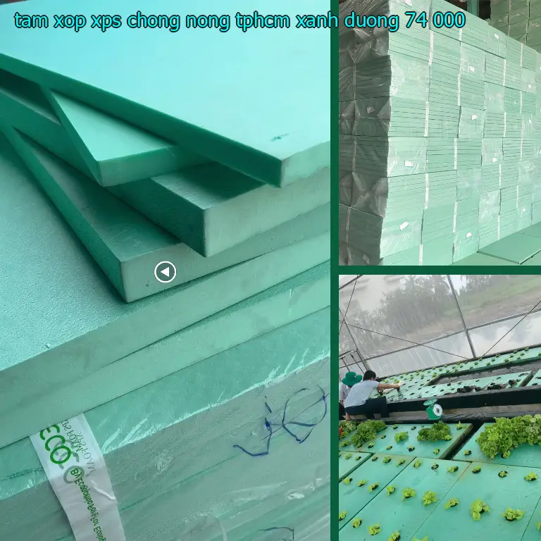 Giá tấm xốp XPS chống nóng TpHCM Xanh dương: 74.000₫ Giá tấm xốp XPS chống nóng TpHCM Xanh dương: 74.000₫