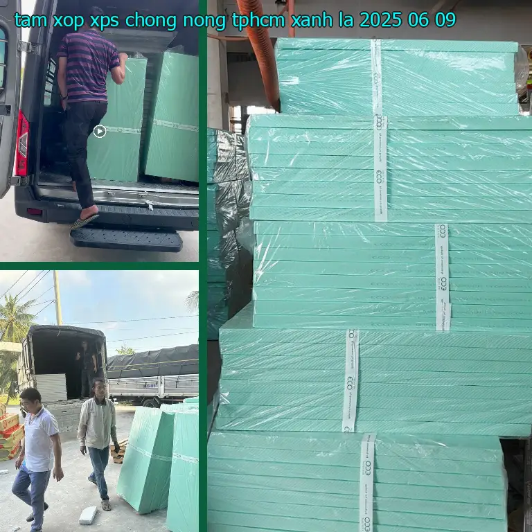 Ngày sản xuất tấm xốp XPS chống nóng TpHCM Xanh lá: 2025-06-09
