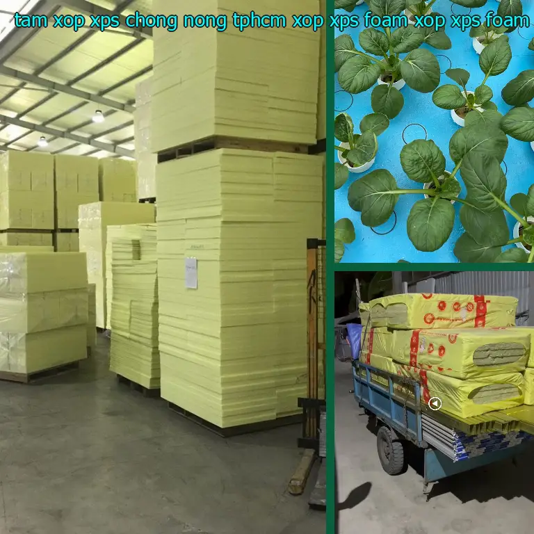 Danh mục tấm xốp XPS chống nóng TpHCM Xốp XPS Foam: Xốp XPS Foam Danh mục tấm xốp XPS chống nóng TpHCM Xốp XPS Foam: Xốp XPS Foam