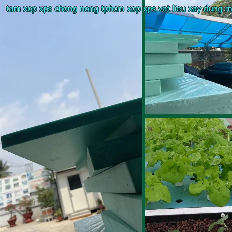 Nhà cung cấp tấm xốp XPS chống nóng TpHCM Xốp XPS: Vật Liệu Xây Dựng Mr.HẢI Nhà cung cấp tấm xốp XPS chống nóng TpHCM Xốp XPS: Vật Liệu Xây Dựng Mr.HẢI