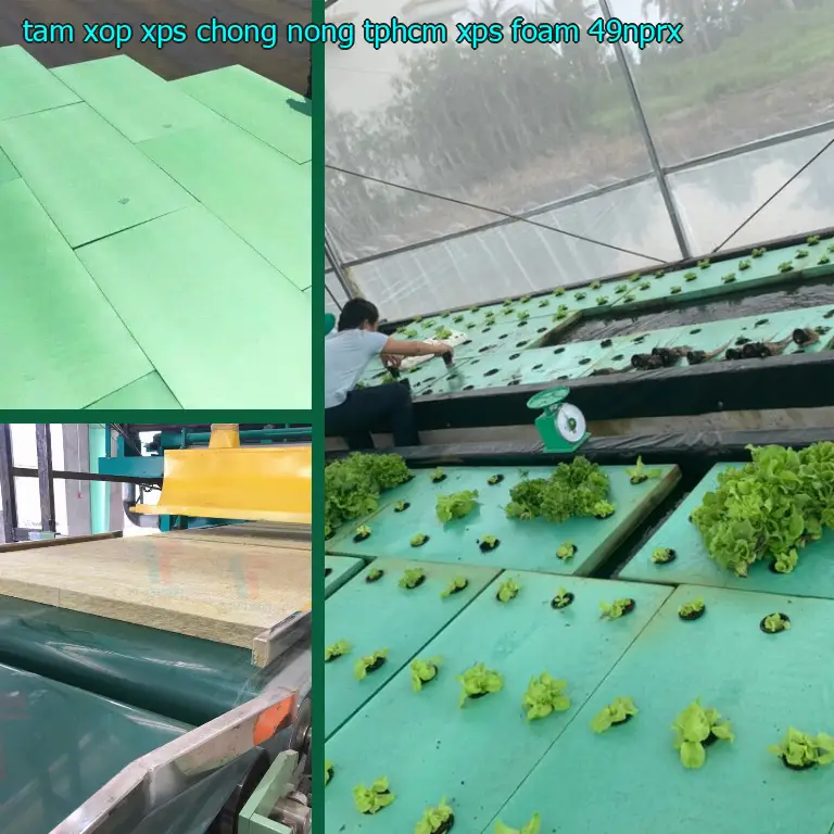 Model tấm xốp XPS chống nóng TpHCM XPS Foam: 49NPRX Model tấm xốp XPS chống nóng TpHCM XPS Foam: 49NPRX
