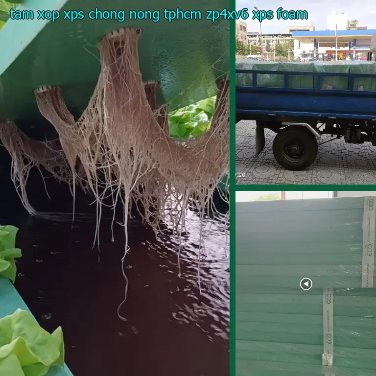 Danh mục tấm xốp XPS chống nóng TpHCM ZP4XV6: XPS Foam