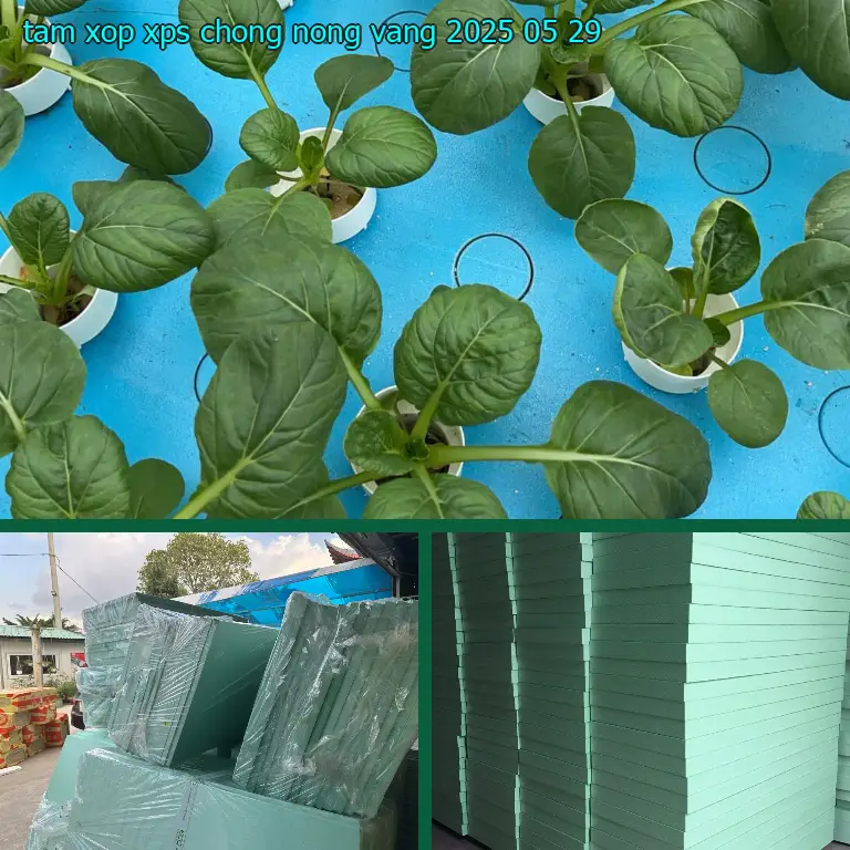 Ngày sản xuất tấm xốp XPS chống nóng Vàng: 2025-05-29