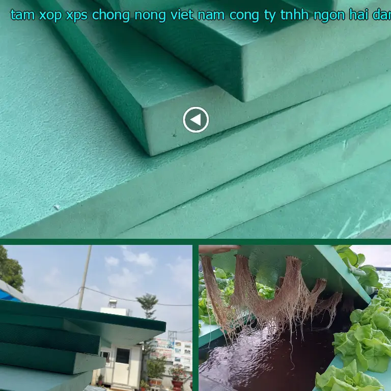 Nhà cung cấp tấm xốp XPS chống nóng Viet Nam: Công ty TNHH Ngọn Hải Đăng Nhà cung cấp tấm xốp XPS chống nóng Viet Nam: Công ty TNHH Ngọn Hải Đăng
