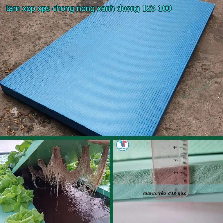 Giá tấm xốp XPS chống nóng Xanh dương: 123.100₫ Giá tấm xốp XPS chống nóng Xanh dương: 123.100₫