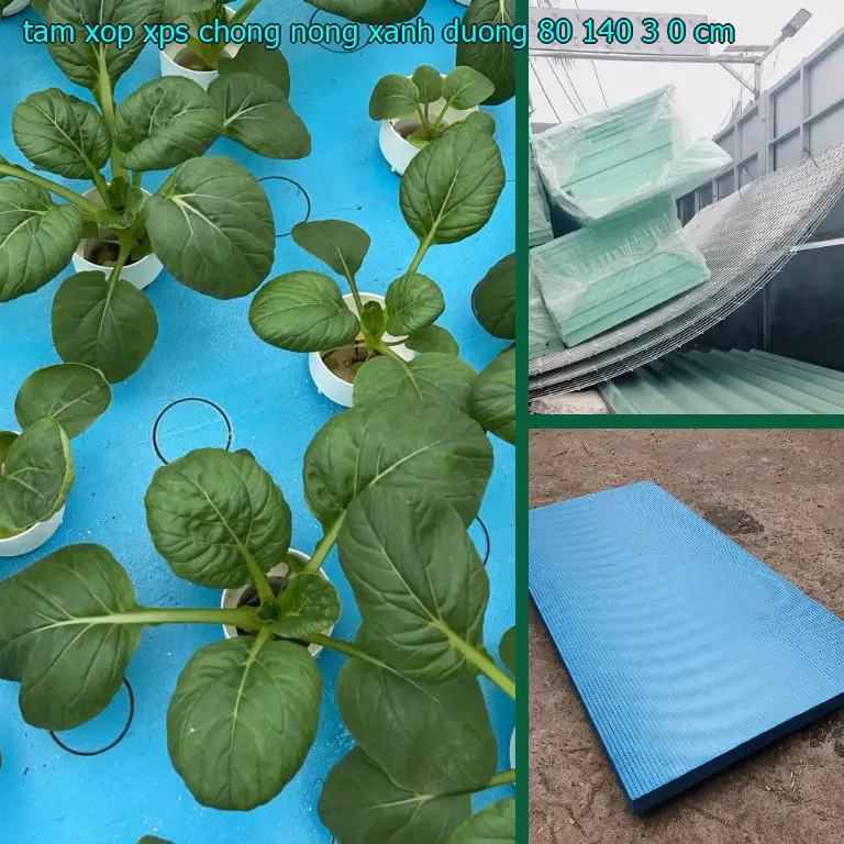 Kích thước tấm xốp XPS chống nóng Xanh dương: 80*140*3.0 cm Kích thước tấm xốp XPS chống nóng Xanh dương: 80*140*3.0 cm