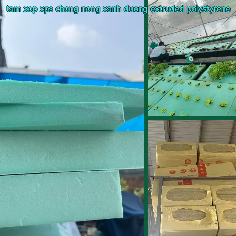 Chất liệu tấm xốp XPS chống nóng Xanh dương: Extruded Polystyrene Chất liệu tấm xốp XPS chống nóng Xanh dương: Extruded Polystyrene