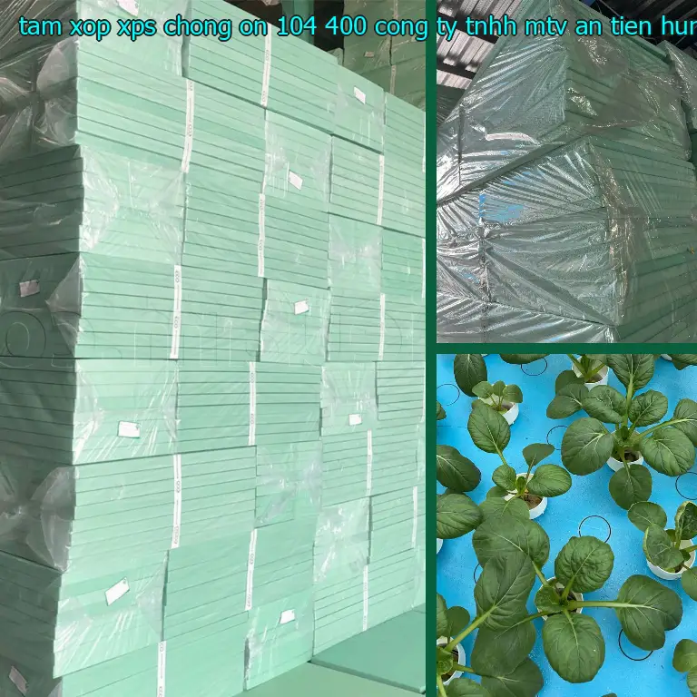 Nhà sản xuất tấm xốp XPS chống ồn 104.400₫: Công ty TNHH MTV An Tiến Hưng