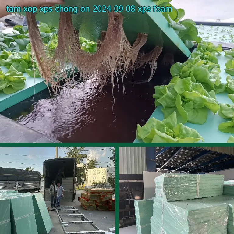 Danh mục tấm xốp XPS chống ồn 2024-09-08: XPS Foam Danh mục tấm xốp XPS chống ồn 2024-09-08: XPS Foam