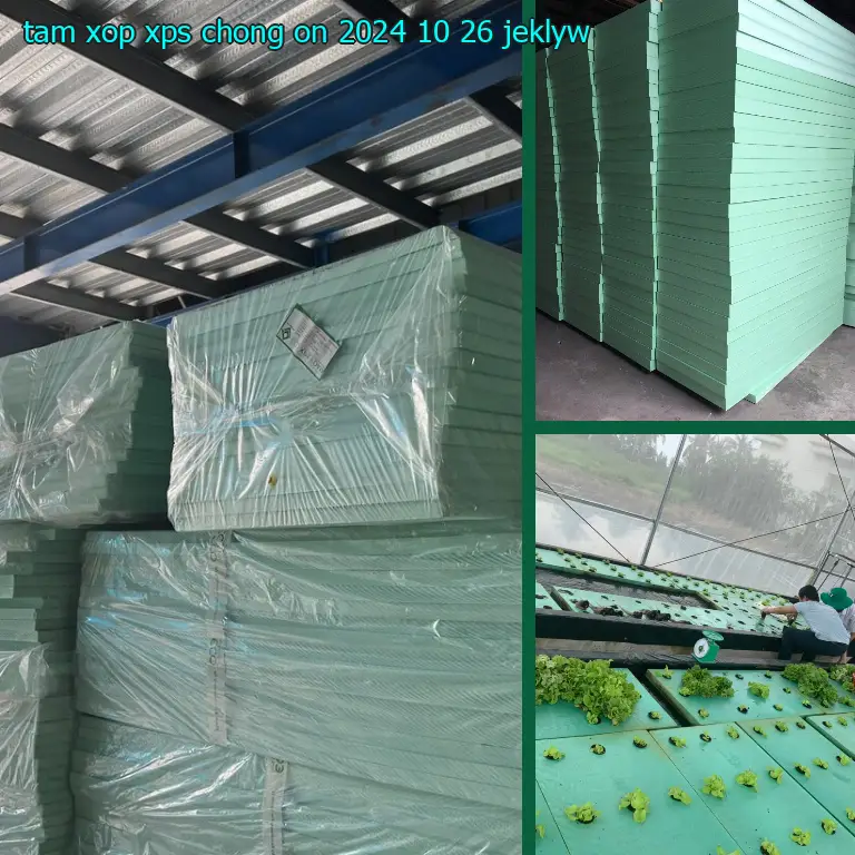 Model tấm xốp XPS chống ồn 2024-10-26: JEKLYW Model tấm xốp XPS chống ồn 2024-10-26: JEKLYW