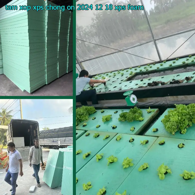 Danh mục tấm xốp XPS chống ồn 2024-12-18: XPS Foam Danh mục tấm xốp XPS chống ồn 2024-12-18: XPS Foam