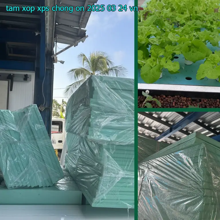 Xuất xứ tấm xốp XPS chống ồn 2025-03-24: VN