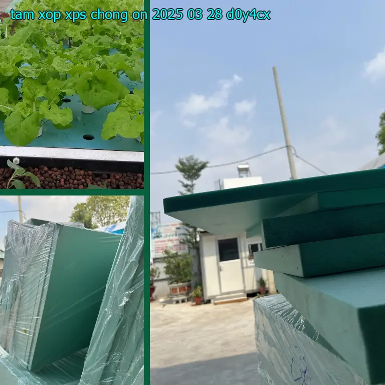 Model tấm xốp XPS chống ồn 2025-03-28: D0Y4CX