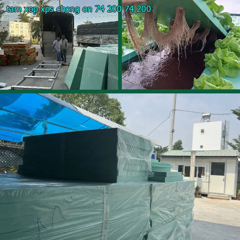 Giá tấm xốp XPS chống ồn 74.200₫: 74.200₫ Giá tấm xốp XPS chống ồn 74.200₫: 74.200₫