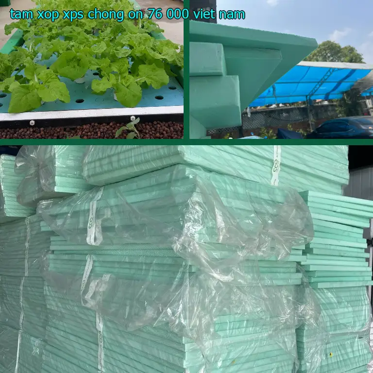 Xuất xứ tấm xốp XPS chống ồn 76.000₫: Viet Nam