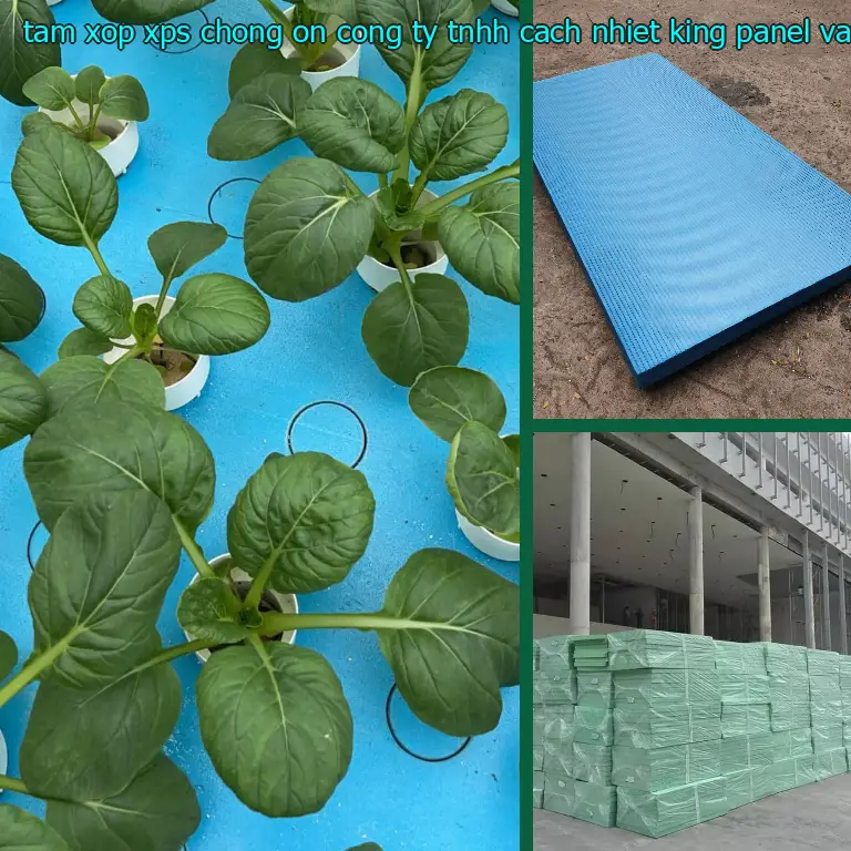 Nhà cung cấp tấm xốp XPS chống ồn Công ty TNHH cách nhiệt King Panel: Vật Liệu Xây Dựng Mr.HẢI Nhà cung cấp tấm xốp XPS chống ồn Công ty TNHH cách nhiệt King Panel: Vật Liệu Xây Dựng Mr.HẢI