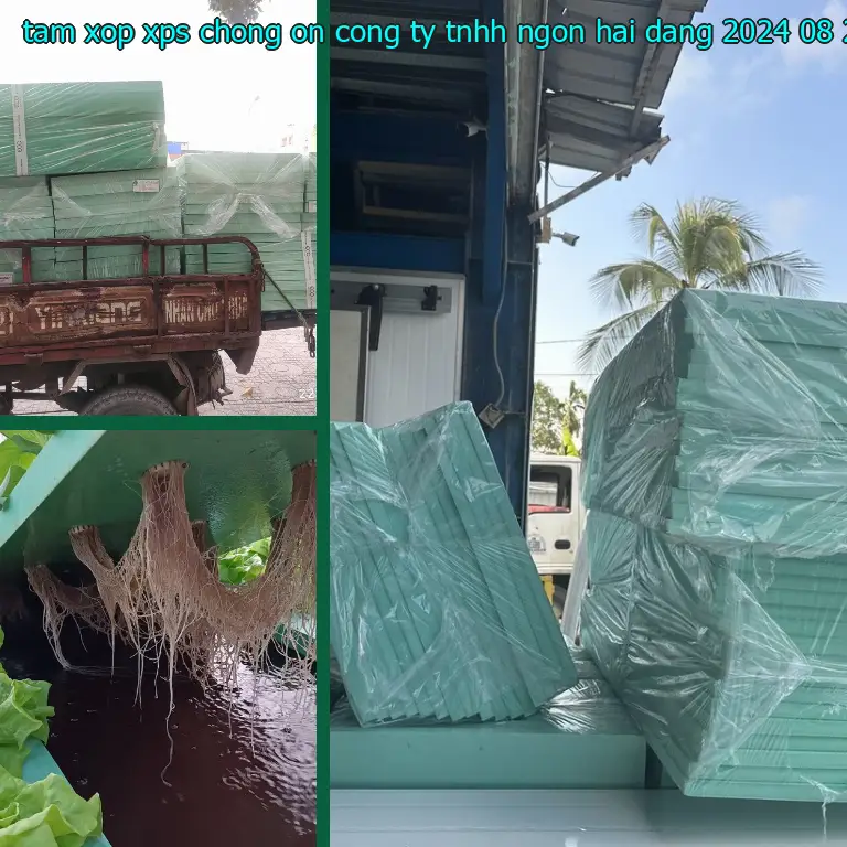 Ngày sản xuất tấm xốp XPS chống ồn Công ty TNHH Ngọn Hải Đăng: 2024-08-21 Ngày sản xuất tấm xốp XPS chống ồn Công ty TNHH Ngọn Hải Đăng: 2024-08-21