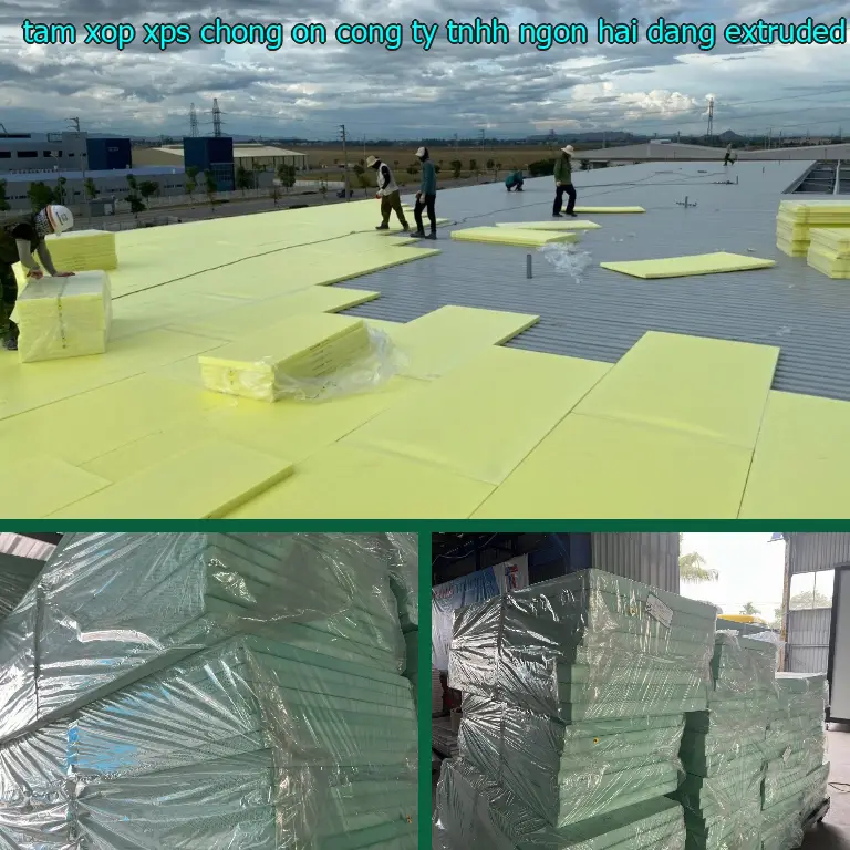 Chất liệu tấm xốp XPS chống ồn Công ty TNHH Ngọn Hải Đăng: Extruded Polystyrene Foam Chất liệu tấm xốp XPS chống ồn Công ty TNHH Ngọn Hải Đăng: Extruded Polystyrene Foam