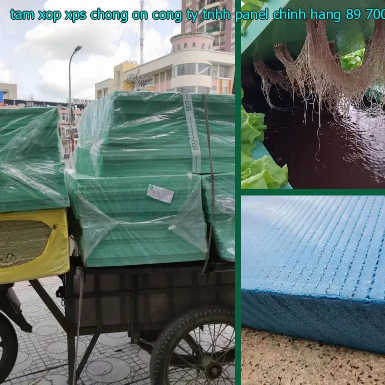 Đơn giá tấm xốp XPS chống ồn Công ty TNHH Panel Chính Hãng: 89.700₫ Đơn giá tấm xốp XPS chống ồn Công ty TNHH Panel Chính Hãng: 89.700₫