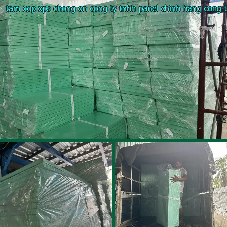 Nhà cung cấp tấm xốp XPS chống ồn Công ty TNHH Panel Chính Hãng: Công ty TNHH Ngọn Hải Đăng Nhà cung cấp tấm xốp XPS chống ồn Công ty TNHH Panel Chính Hãng: Công ty TNHH Ngọn Hải Đăng