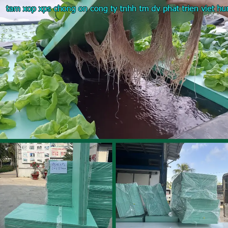 Nhà cung cấp tấm xốp XPS chống ồn Công ty TNHH TM - DV - phát triển Việt Hưng: Công ty TNHH Ngọn Hải Đăng Nhà cung cấp tấm xốp XPS chống ồn Công ty TNHH TM - DV - phát triển Việt Hưng: Công ty TNHH Ngọn Hải Đăng