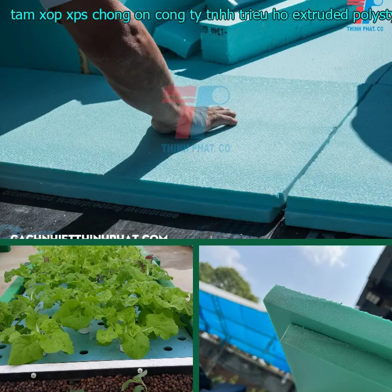 Chất liệu tấm xốp XPS chống ồn Công ty TNHH Triệu Hổ: Extruded Polystyrene Foam Chất liệu tấm xốp XPS chống ồn Công ty TNHH Triệu Hổ: Extruded Polystyrene Foam