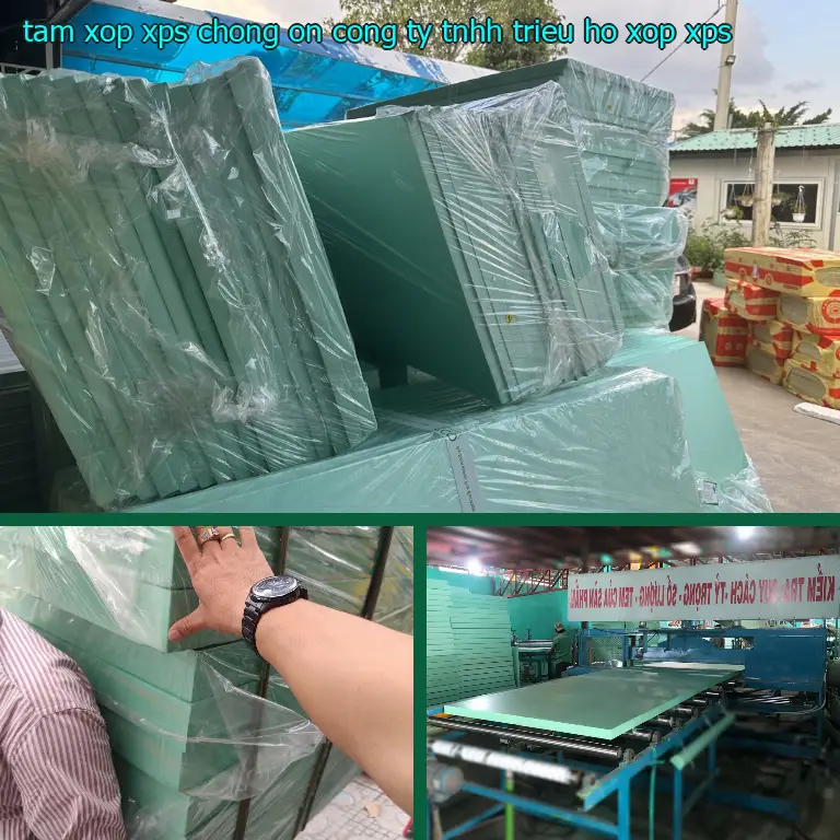 Danh mục tấm xốp XPS chống ồn Công ty TNHH Triệu Hổ: Xốp XPS Danh mục tấm xốp XPS chống ồn Công ty TNHH Triệu Hổ: Xốp XPS