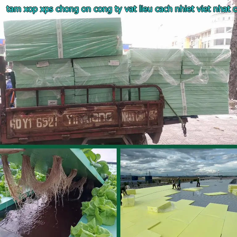 Nhà cung cấp tấm xốp XPS chống ồn Công ty vật liệu cách nhiệt Việt Nhật: Công ty TNHH Ngọn Hải Đăng Nhà cung cấp tấm xốp XPS chống ồn Công ty vật liệu cách nhiệt Việt Nhật: Công ty TNHH Ngọn Hải Đăng
