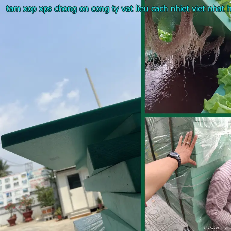 Model tấm xốp XPS chống ồn Công ty vật liệu cách nhiệt Việt Nhật: HL1CM2 Model tấm xốp XPS chống ồn Công ty vật liệu cách nhiệt Việt Nhật: HL1CM2