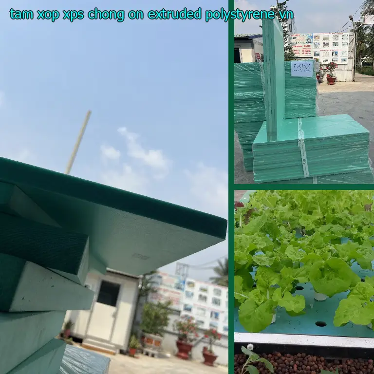 Xuất xứ tấm xốp XPS chống ồn Extruded Polystyrene: VN Xuất xứ tấm xốp XPS chống ồn Extruded Polystyrene: VN