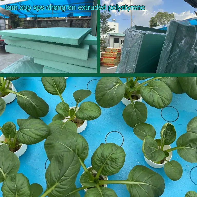 Tấm xốp XPS chống ồn Extruded Polystyrene