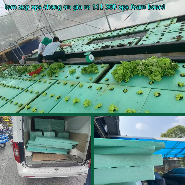 Danh mục tấm xốp XPS chống ồn giá rẻ 111.300₫: XPS Foam Board Danh mục tấm xốp XPS chống ồn giá rẻ 111.300₫: XPS Foam Board