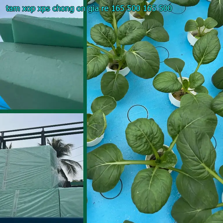 Đơn giá tấm xốp XPS chống ồn giá rẻ 165.500₫: 165.500₫ Đơn giá tấm xốp XPS chống ồn giá rẻ 165.500₫: 165.500₫