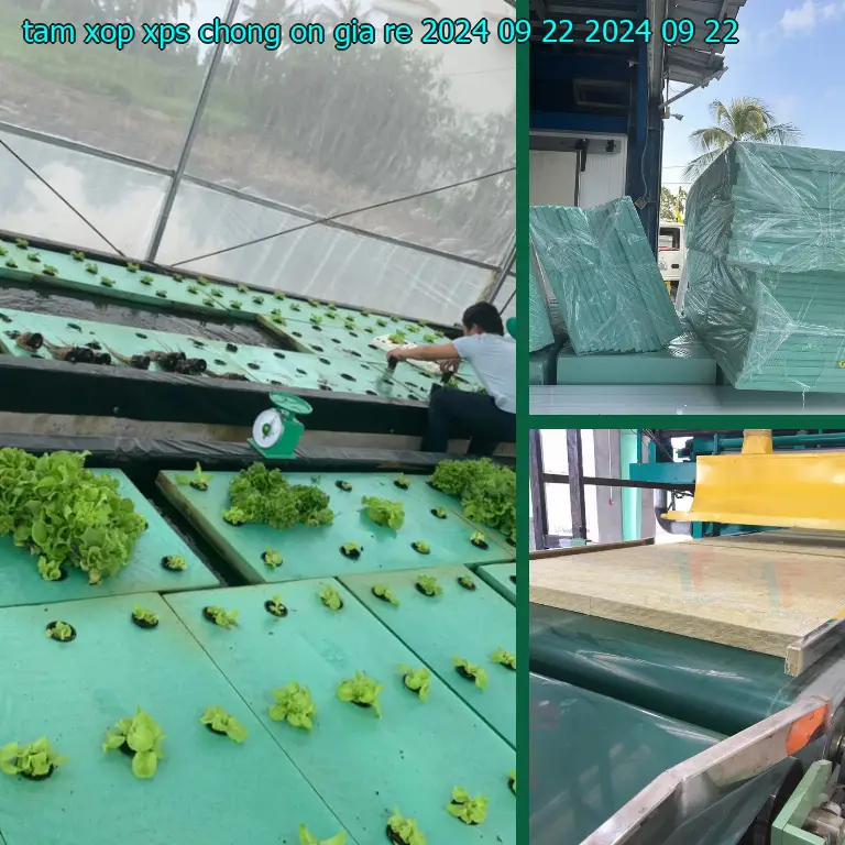 Ngày sản xuất tấm xốp XPS chống ồn giá rẻ 2024-09-22: 2024-09-22