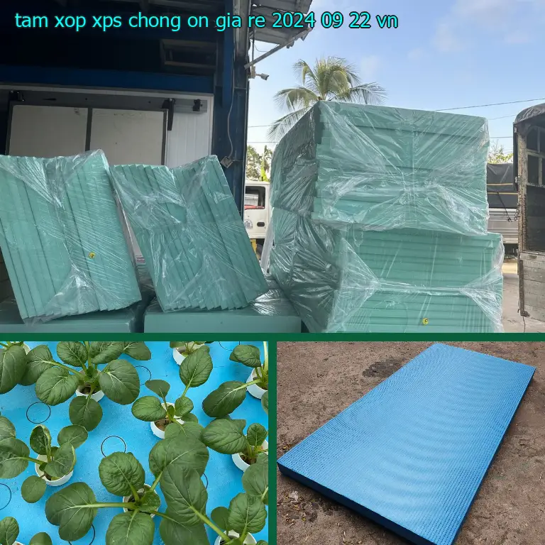 Xuất xứ tấm xốp XPS chống ồn giá rẻ 2024-09-22: VN