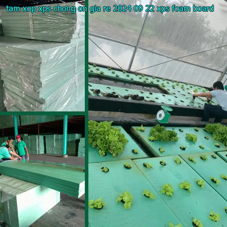 Danh mục tấm xốp XPS chống ồn giá rẻ 2024-09-22: XPS Foam Board