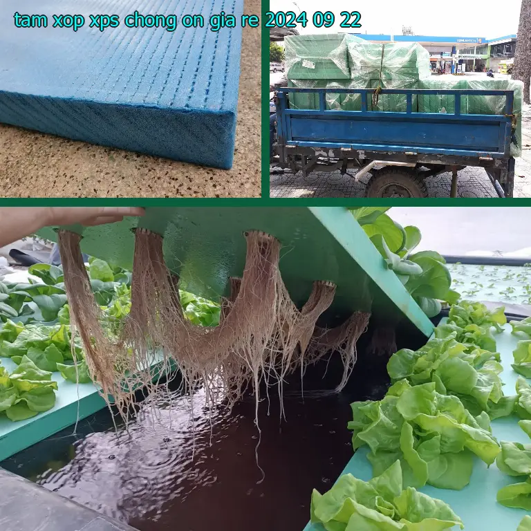 Tấm xốp XPS chống ồn giá rẻ 2024-09-22