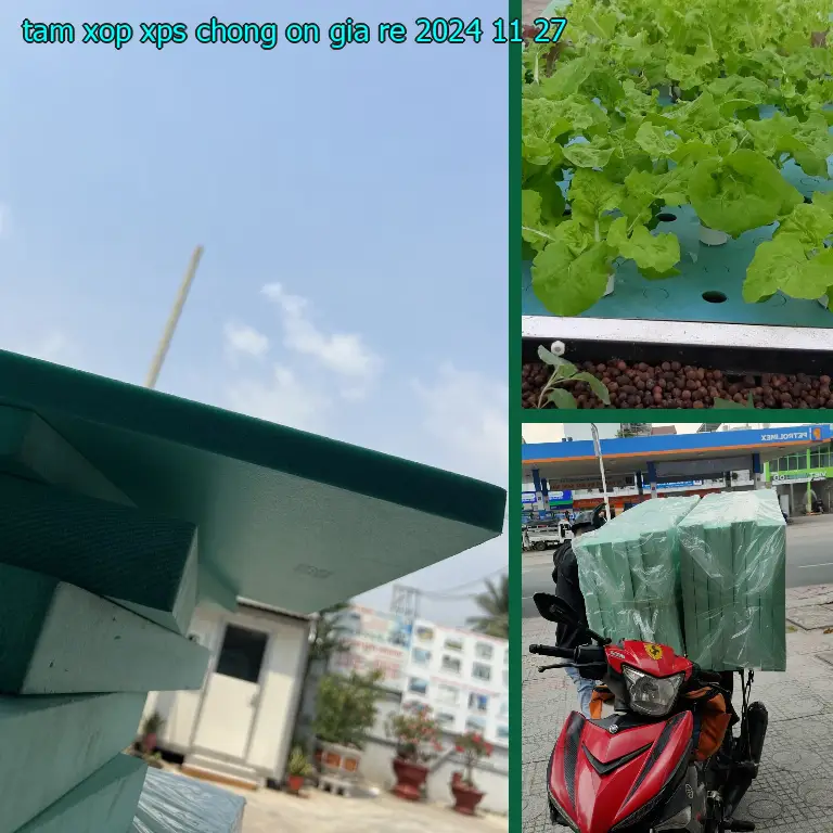 Tấm xốp XPS chống ồn giá rẻ 2024-11-27