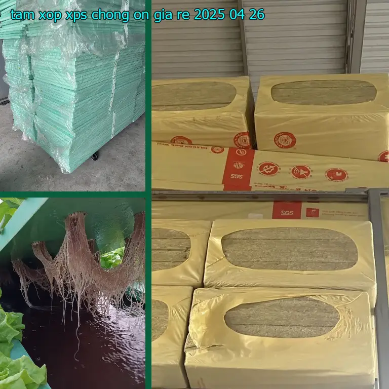 Tấm xốp XPS chống ồn giá rẻ 2025-04-26