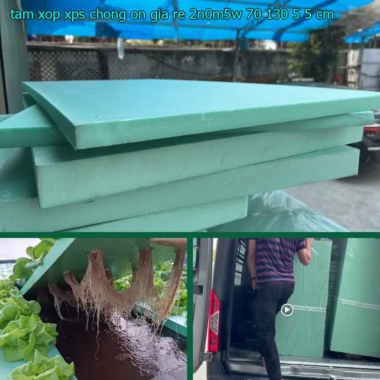 Kích thước tấm xốp XPS chống ồn giá rẻ 2N0M5W: 70*130*5.5 cm Kích thước tấm xốp XPS chống ồn giá rẻ 2N0M5W: 70*130*5.5 cm