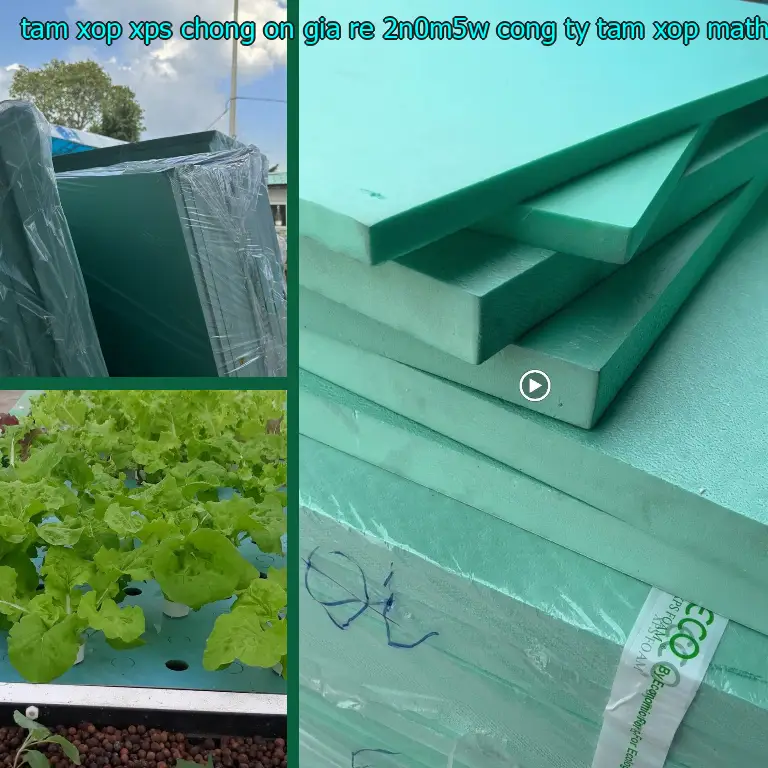 Nhà sản xuất tấm xốp XPS chống ồn giá rẻ 2N0M5W: Công ty tấm xốp MatHome Nhà sản xuất tấm xốp XPS chống ồn giá rẻ 2N0M5W: Công ty tấm xốp MatHome
